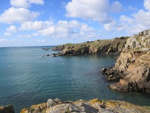 Galerie photo Photos PAE 2019